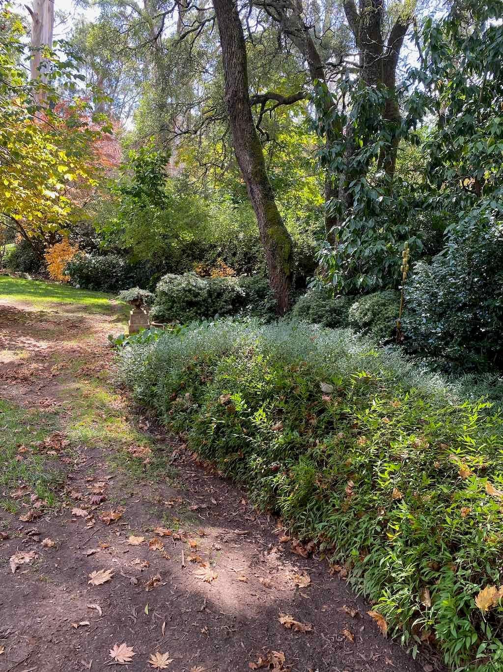 May 2023 Bathurst Mayfield Garden Tour Image -64605bbf21e5c